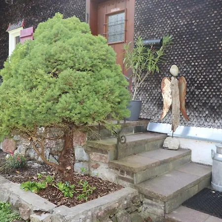 Buehelhus * Далас