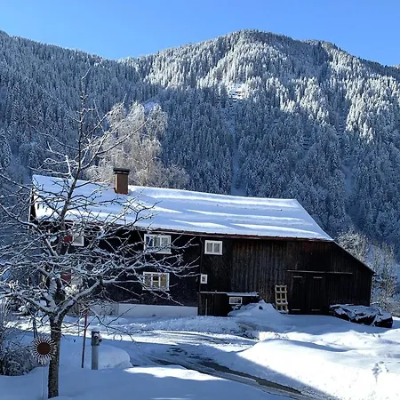 Buehelhus Holiday home Dalaas