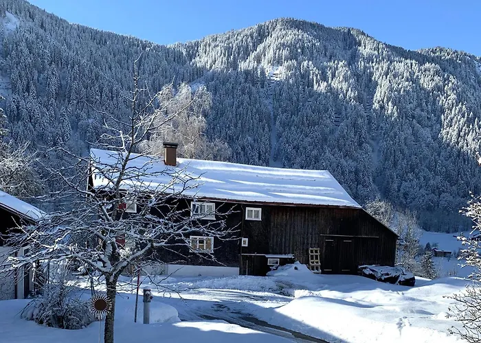 Buehelhus Σπίτι διακοπών Dalaas